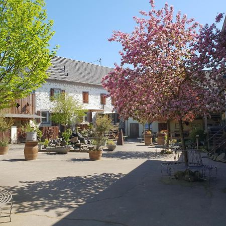 Schoene Wohnung Kleiner Onkel Auf Idyllischem Reiterhof Nahe Burg Eltz Munstermaifeld Exterior photo