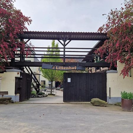 Schoene Wohnung Kleiner Onkel Auf Idyllischem Reiterhof Nahe Burg Eltz Munstermaifeld Exterior photo